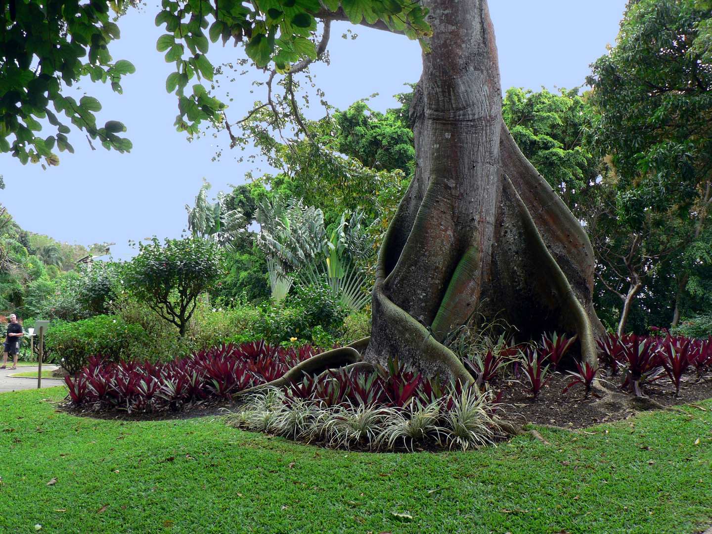 un bout de jardin majestueux pour un bon WE à tous