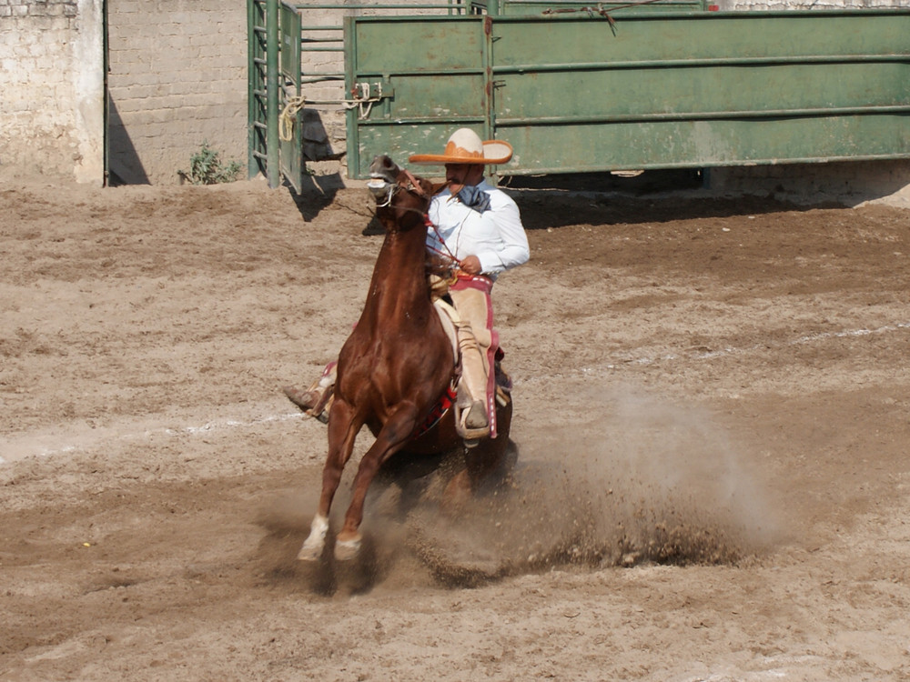 un buen charro