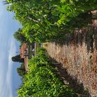 Un buen vino Malbec ( Mendoza) a orillas del Río con el esplendor del Aconcagua ... que más?