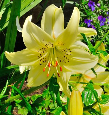 ...Un buon inizio di settimana a tutti....smakkkk