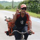 Un caballito rampante, un léon rugiente en una docena gallinas exaltados