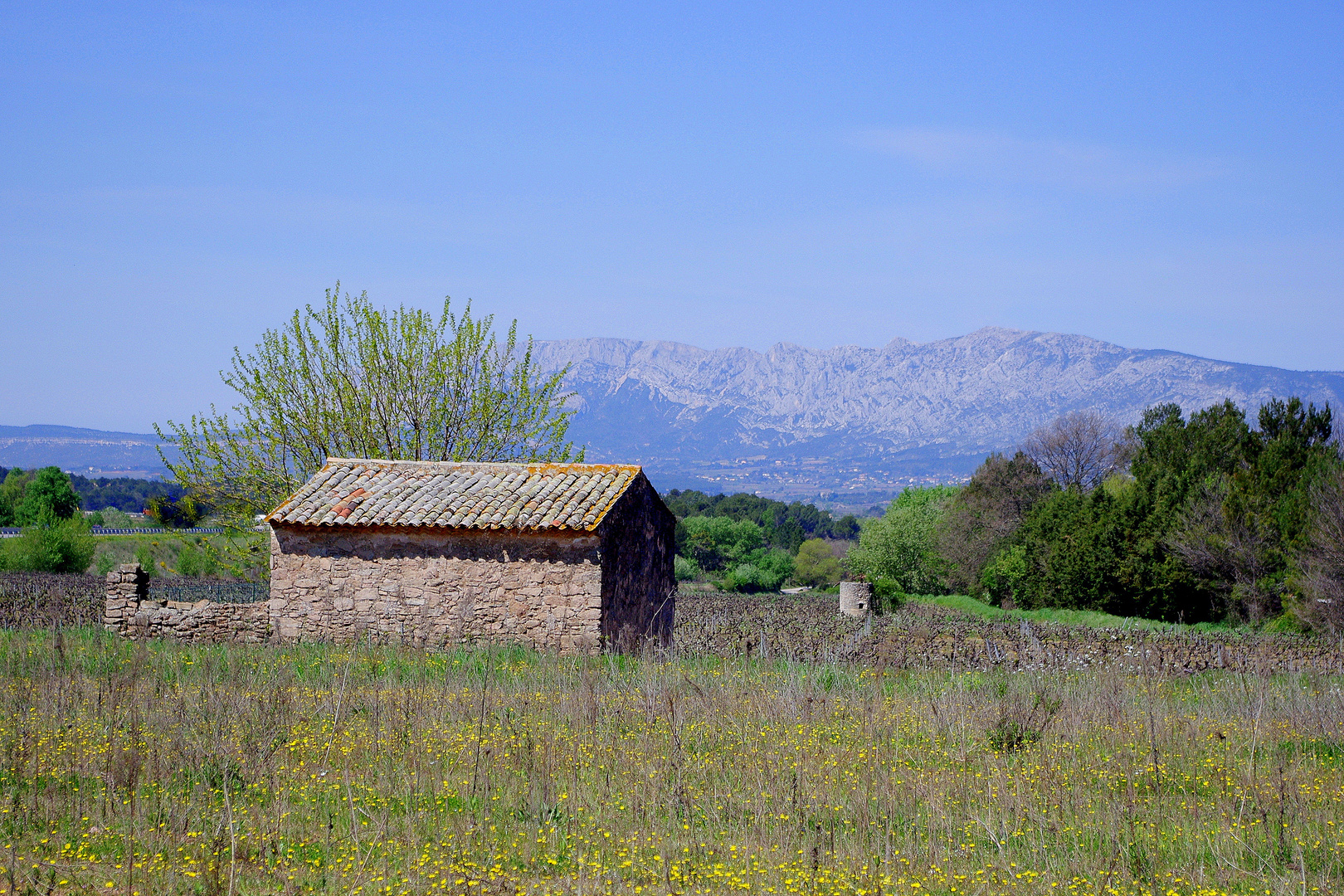 Un cabanon en Provence ......