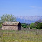 Un cabanon en Provence ......