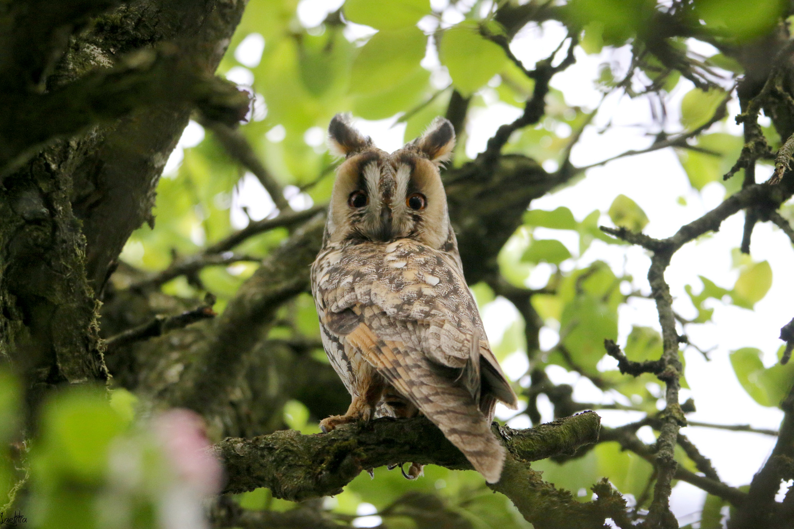 Un cadeau de Dame Nature