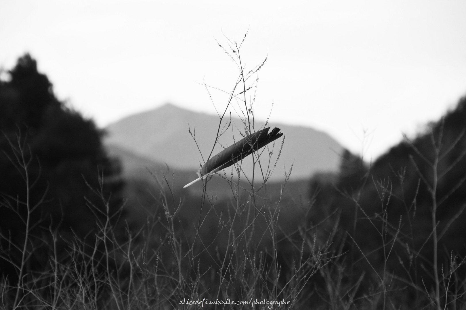 Un cadeau du ciel