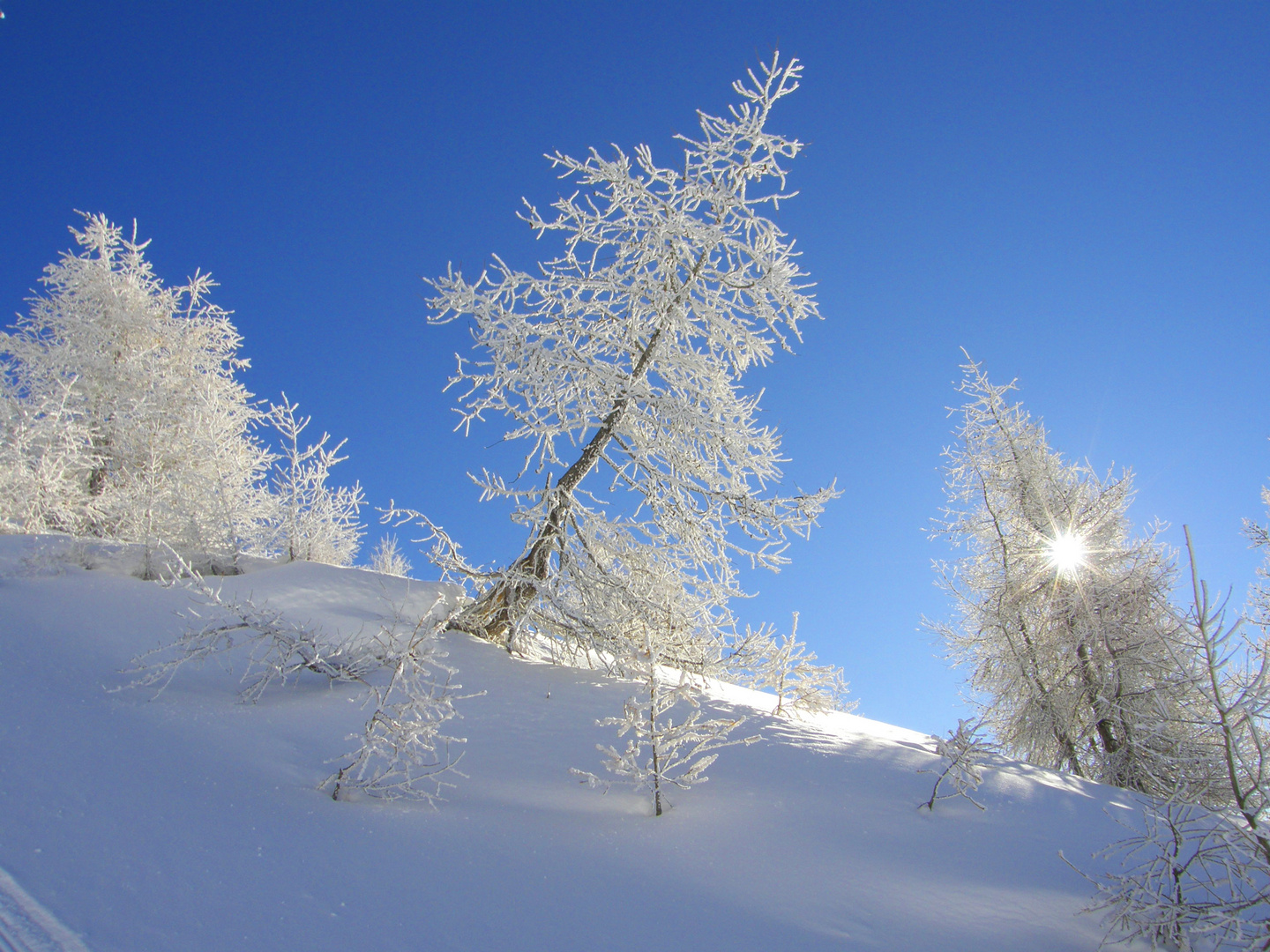 Un caldo freddo ...