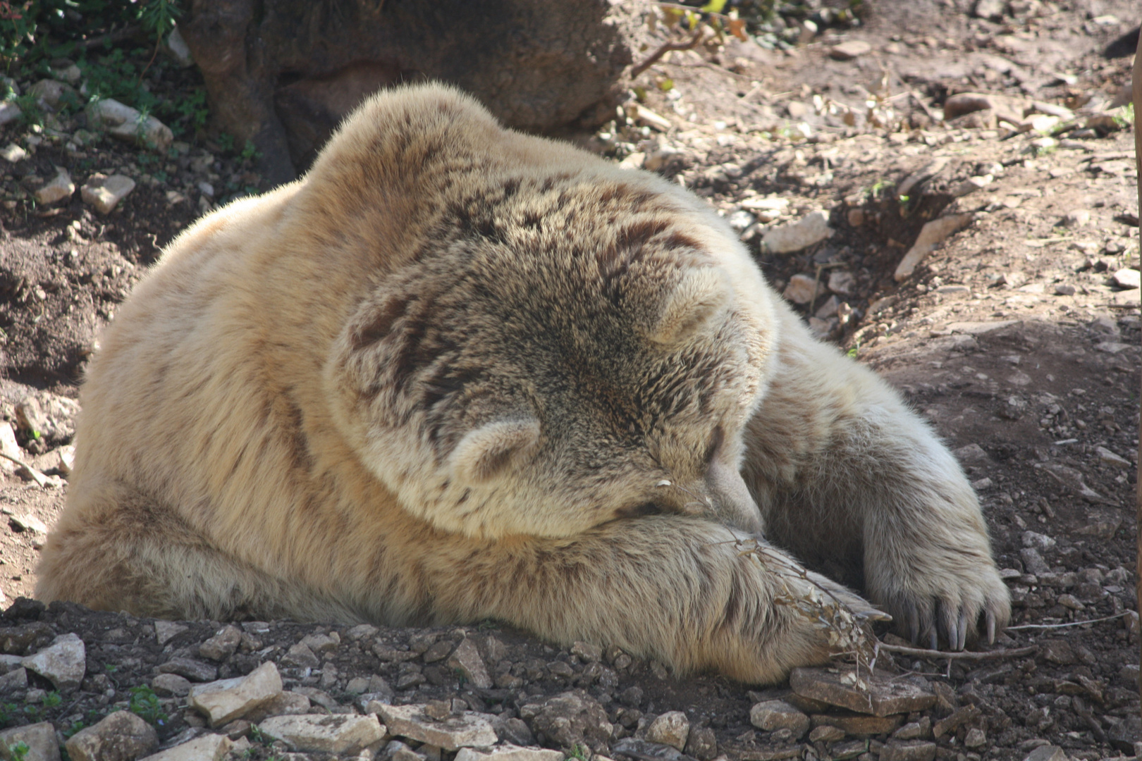 Un calin ?