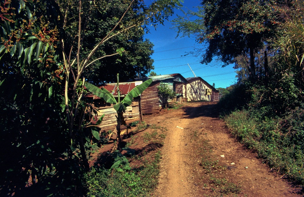 Un camino en el campo - Dominican Republic
