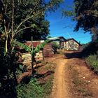 Un camino en el campo - Dominican Republic