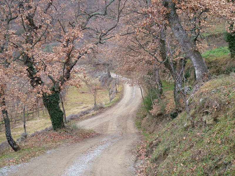 un cammino dello spirito