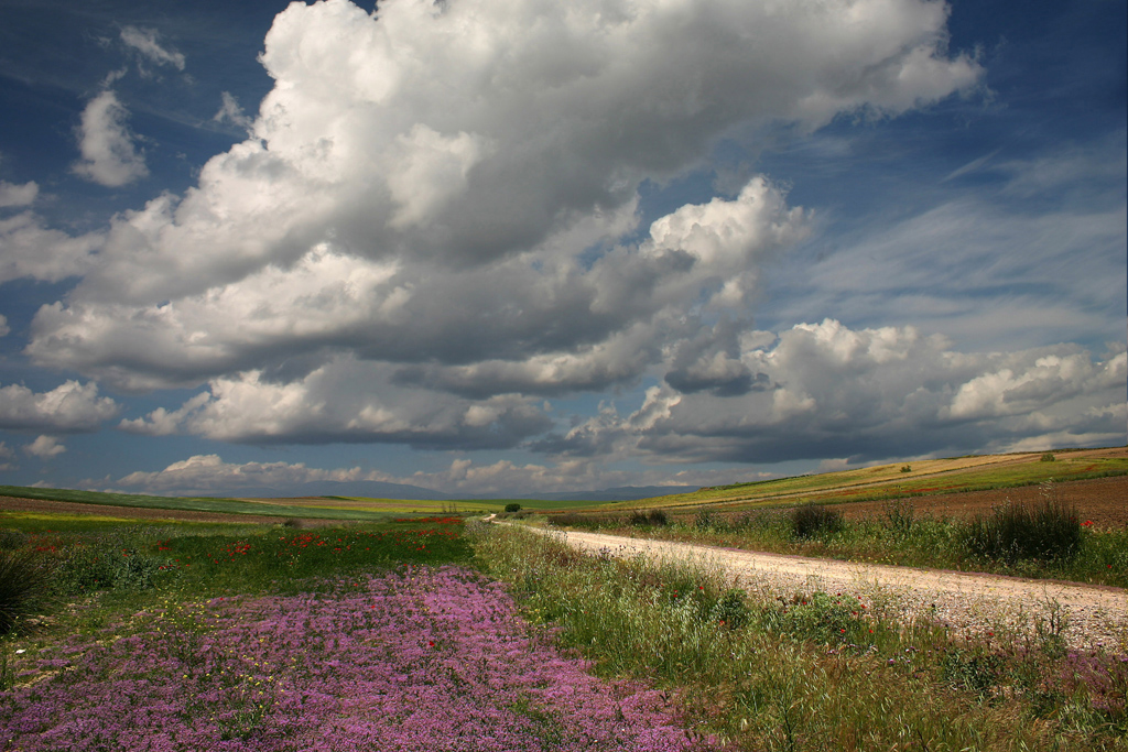 Un campo castellano