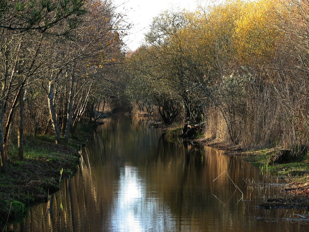 Un canal dans le polder de Mousterlin