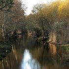 Un canal dans le polder de Mousterlin