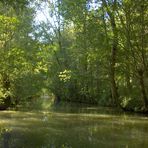 Un canal du Marais Poitevin