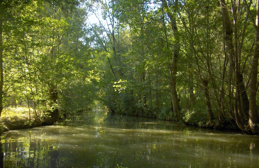Un canal du Marais Poitevin