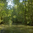 Un canal du Marais Poitevin