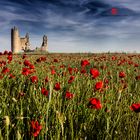 Un castillo rodeado de amapolas