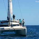 Un catamaran sur les eaux calédoniennes.