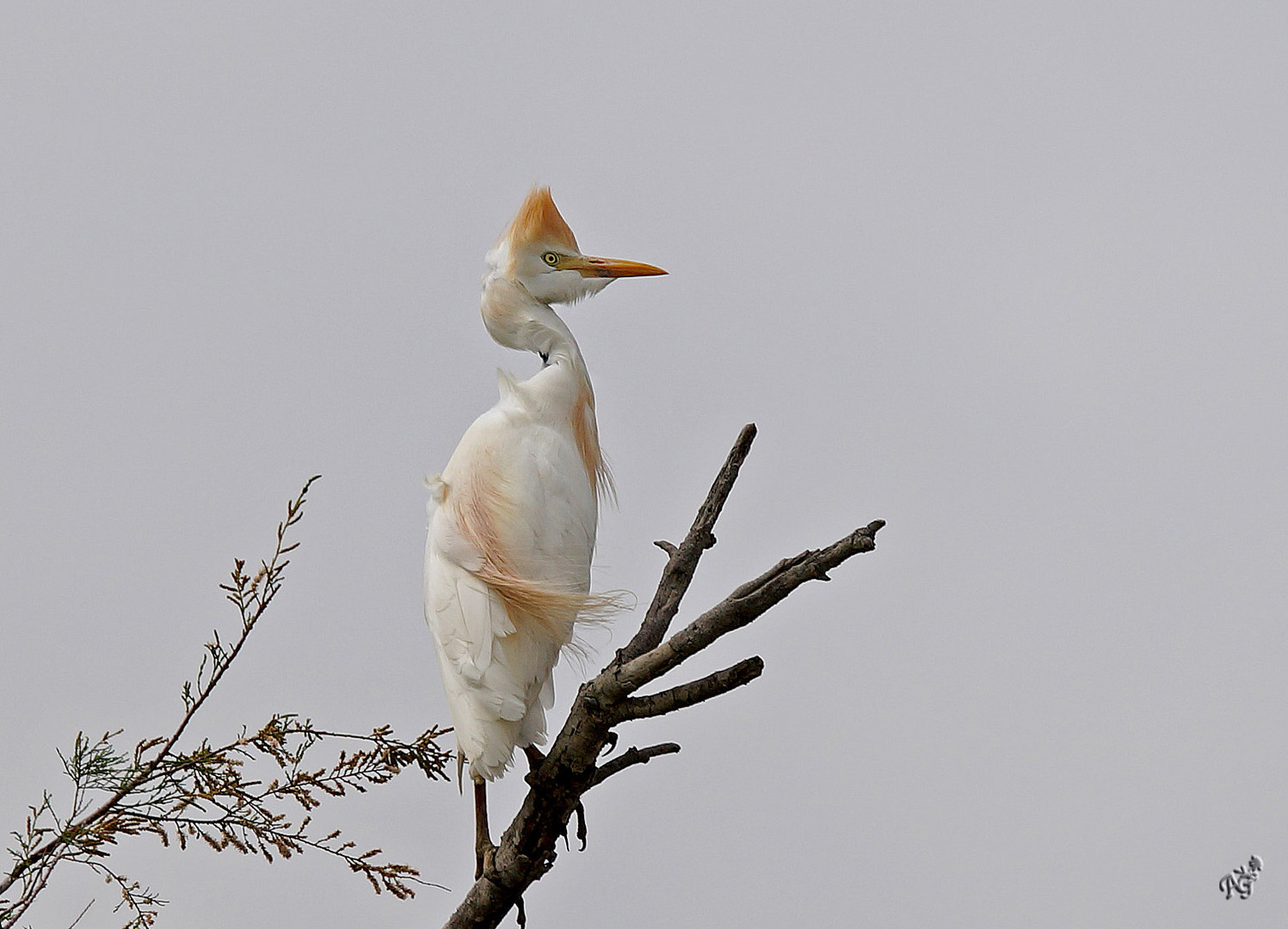 Un certain loock ...... dans le vent !!!!!