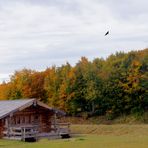 Un chalet en automne .....