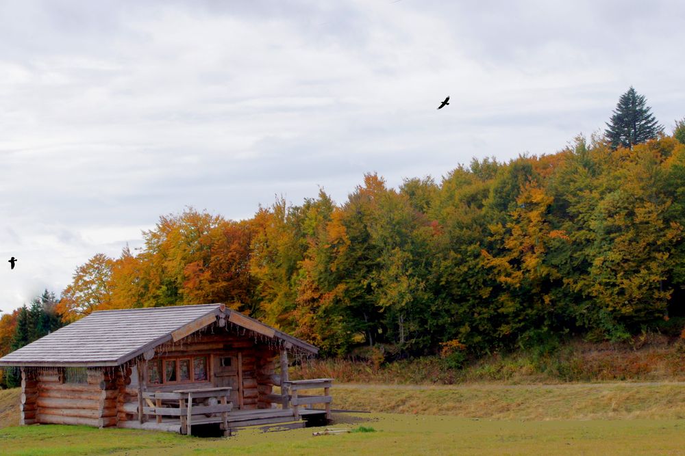 Un chalet en automne .....