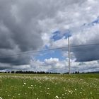 Un champ en fleur sous un ciel nuageux