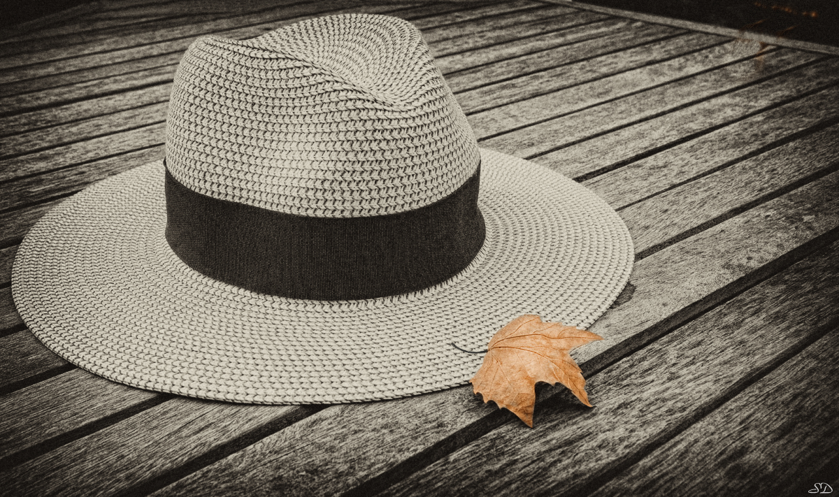 Un chapeau en automne.