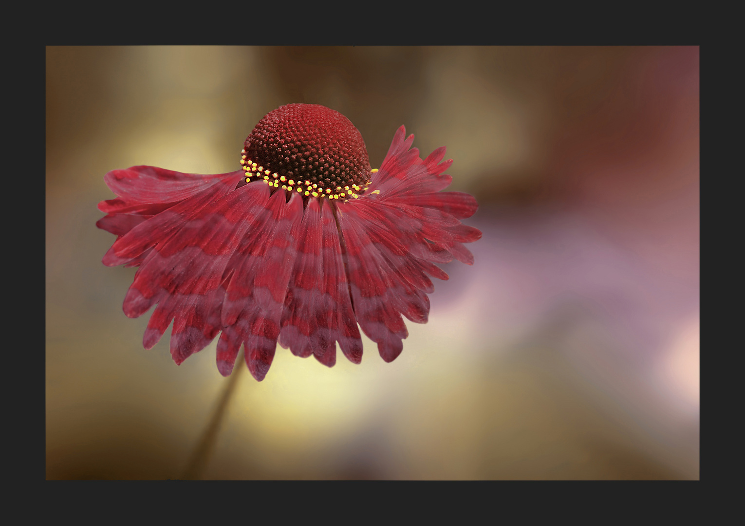 UN CHAPEAU FLORAL