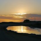 UN CHARCO EN LAS DUNAS