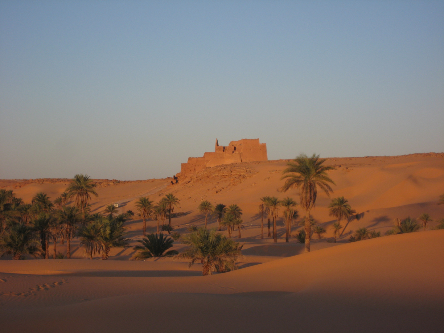 UN CHATEAU PLEIN DESERT