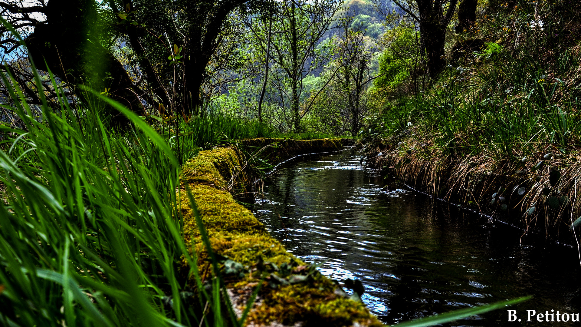 Un chemin au fil de l'eau