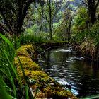 Un chemin au fil de l'eau