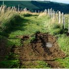 Un chemin dans le Cézallier