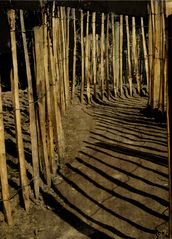 Un chemin très pieux