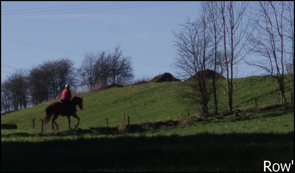 Un Cheval Dans La Campagne