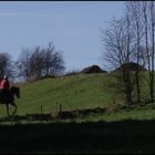 Un Cheval Dans La Campagne