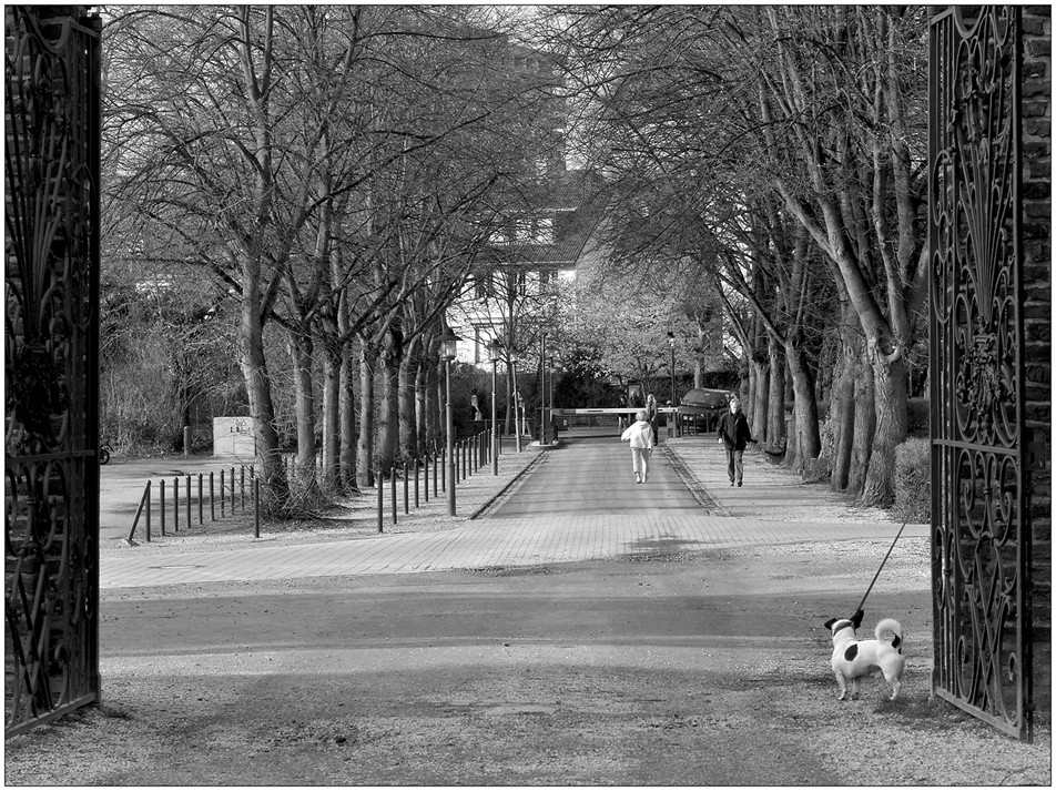 un chien andalou