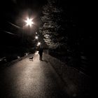 Un chien dans la nuit