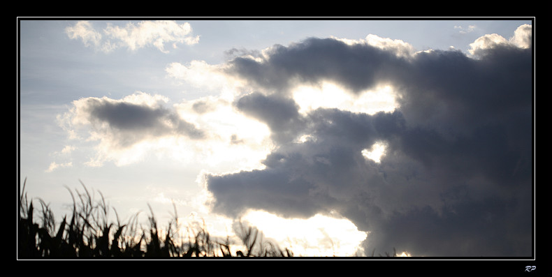 Un chien dans le ciel !