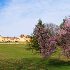 Un château entre Bars et Marseillan (Sud du Gers)