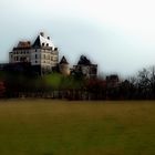 un Château quelque part en Périgord ...