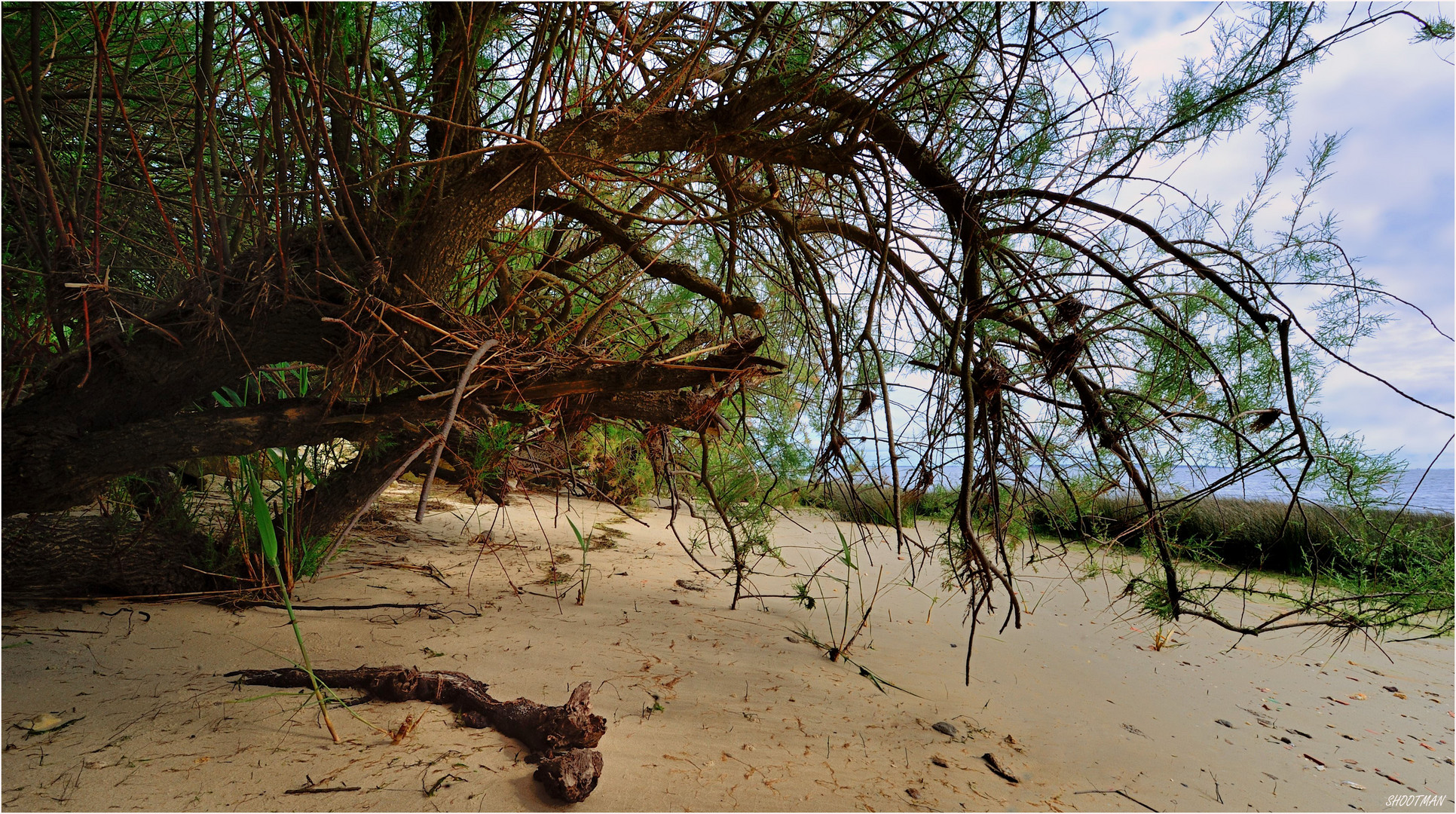 Un ch'ti coin de plage...