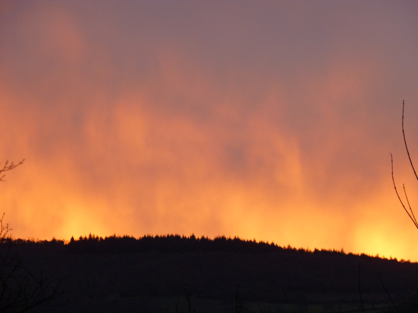 Un ciel de feu - Les Abriols - Forêt de Grésigne