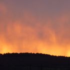 Un ciel de feu - Les Abriols - Forêt de Grésigne