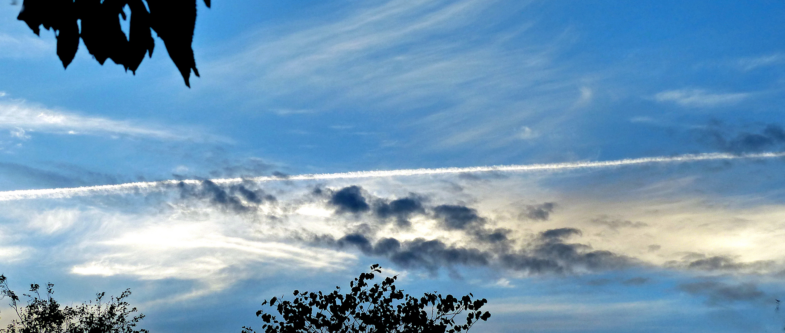 Un ciel moutonné en soirée estivale.