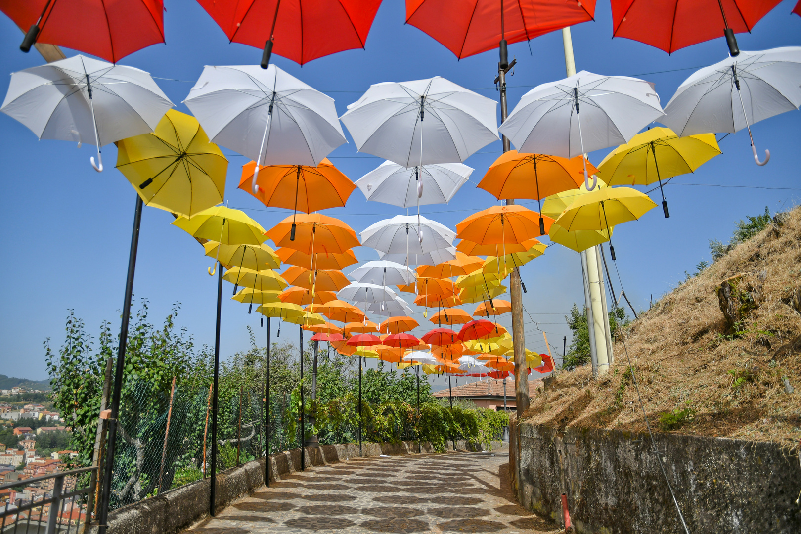 Un cielo multicolore