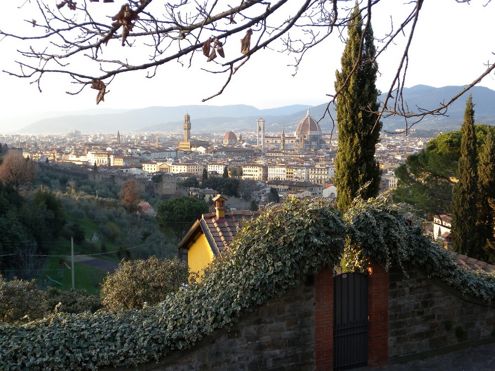 Un cipresso e FIrenze