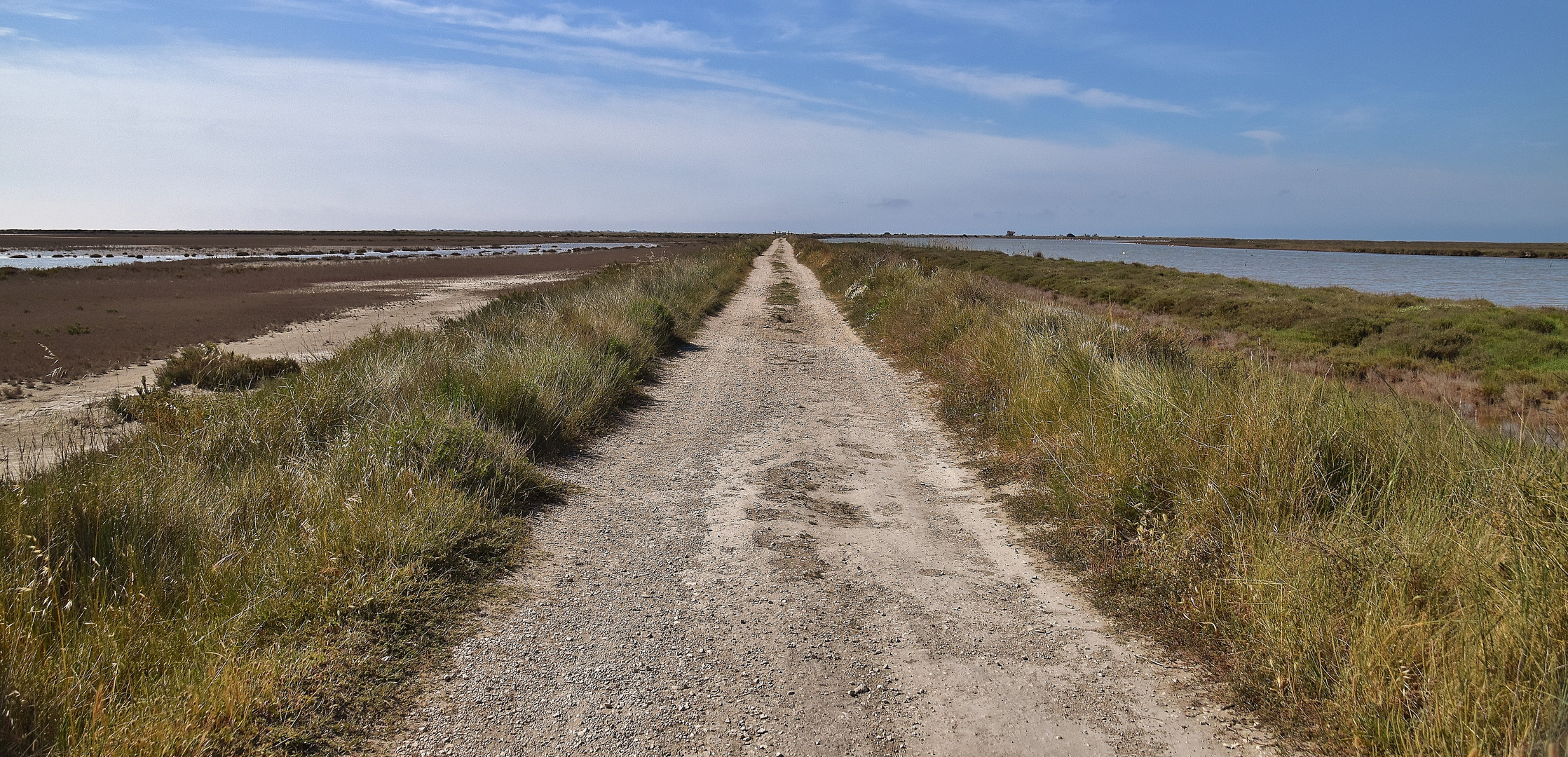 Un coin de Camargue.....