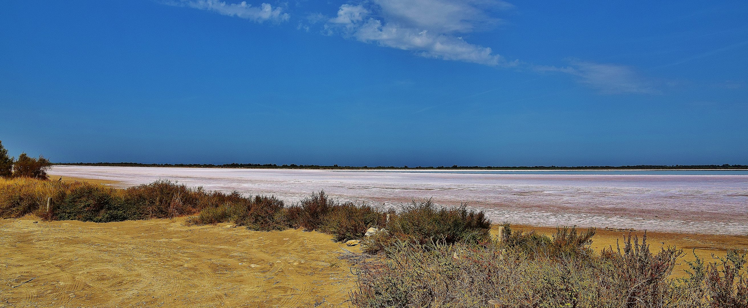 Un coin de Camargue......