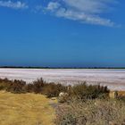 Un coin de Camargue......